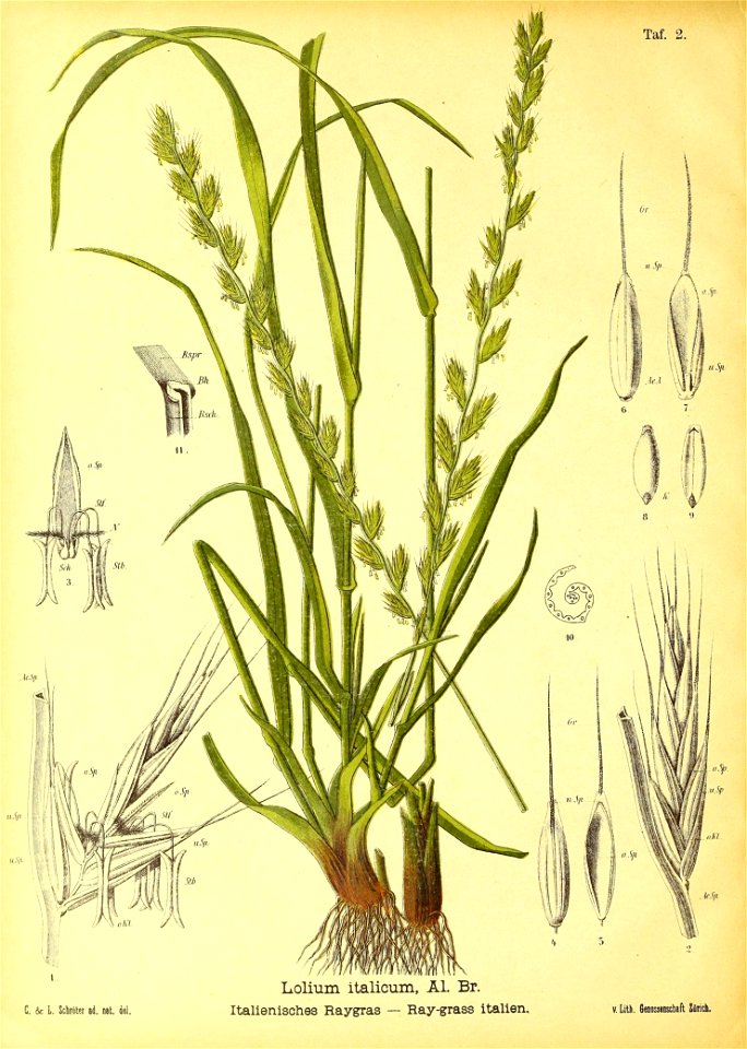 n43_w1150