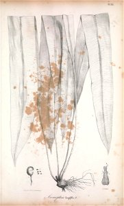 n222_w1150