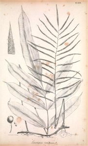 n192_w1150