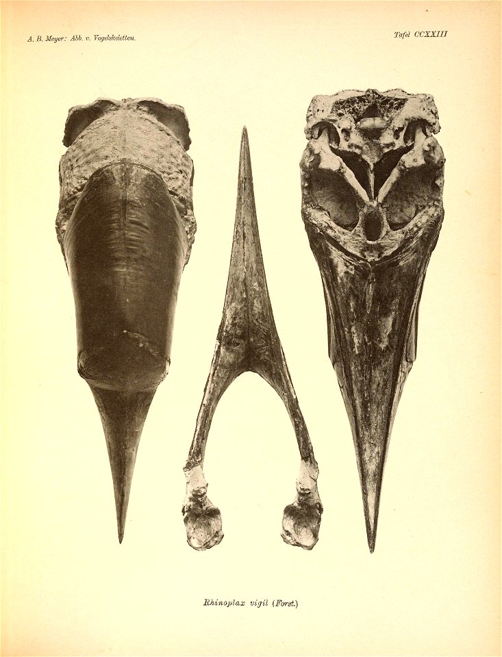 n352_w1150