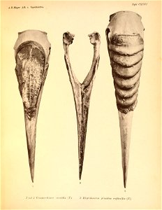n292_w1150