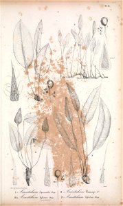 n158_w1150