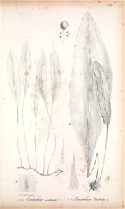 n156_w1150