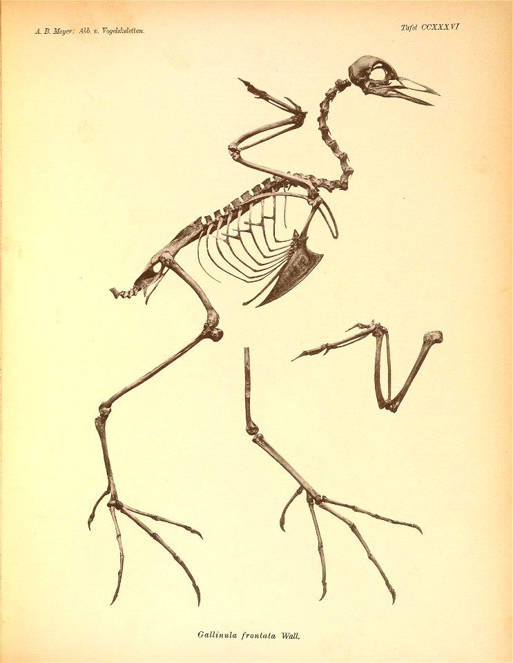 n378_w1150