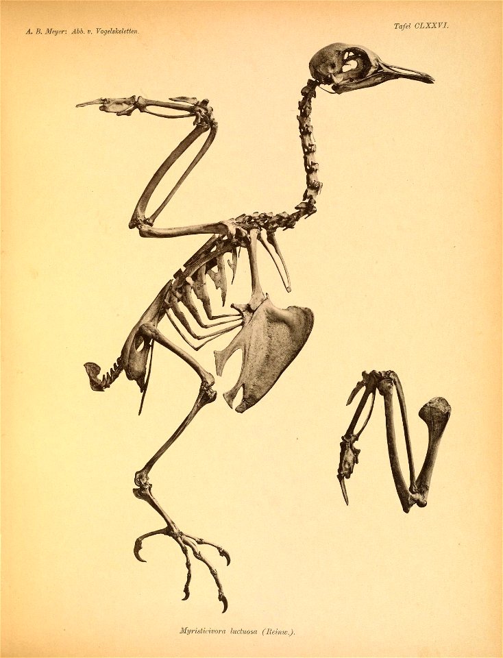 n258_w1150