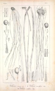 n330_w1150