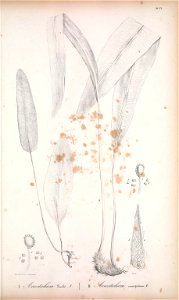 n152_w1150