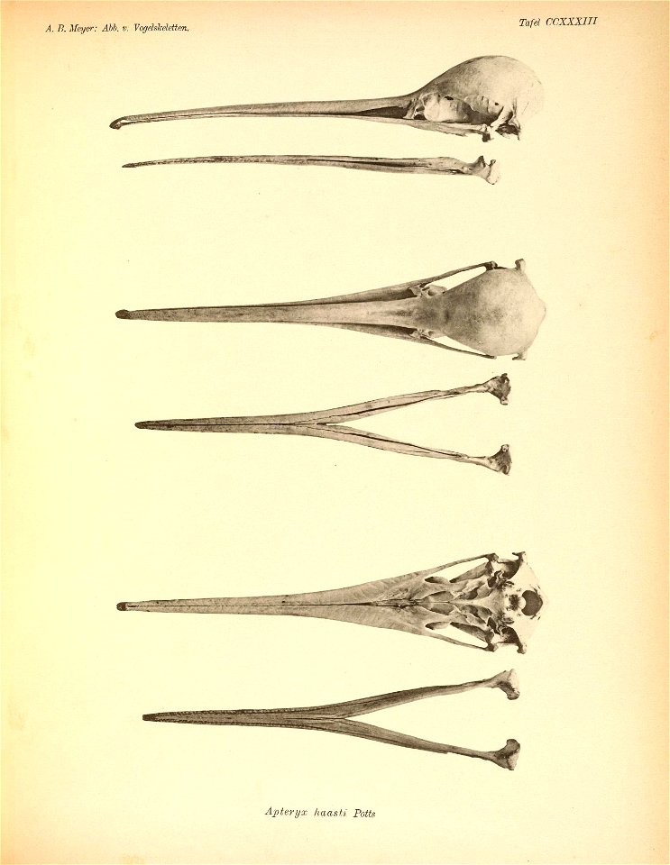 n372_w1150