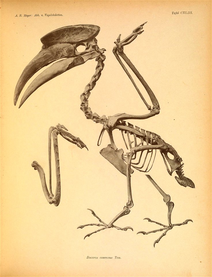 n192_w1150