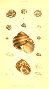 n162_w1150