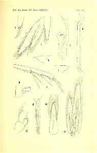 n174_w1150