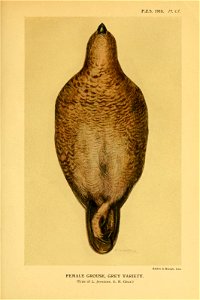 n556_w1150