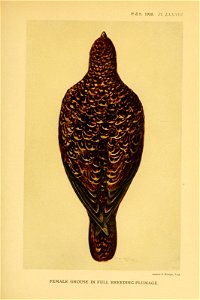 n526_w1150