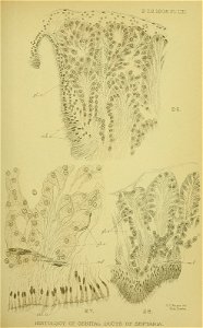 n506_w1150