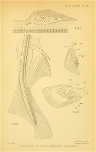 n488_w1150