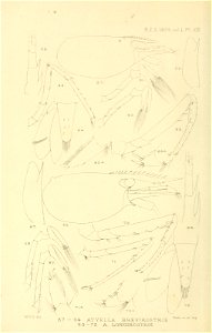 n247_w1150