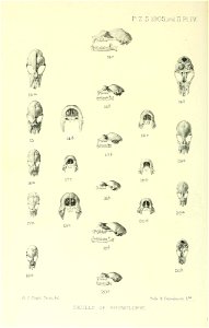 n129_w1150
