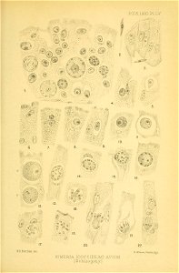 n132_w1150