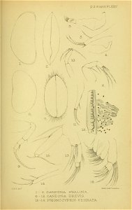 n296_w1150