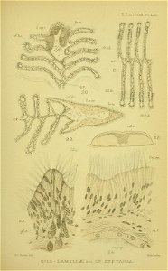 n504_w1150