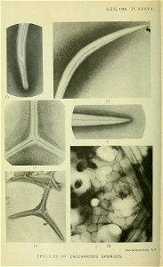 n295_w1150