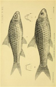 n401_w1150