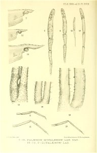n623_w1150