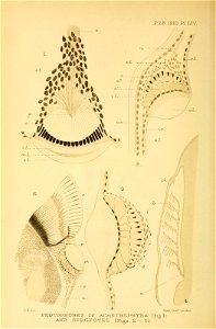 n97_w1150