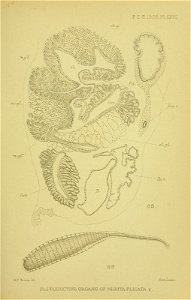 n532_w1150