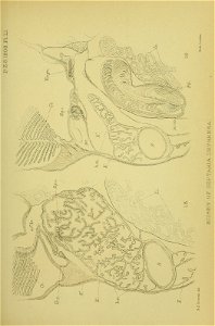 n502_w1150