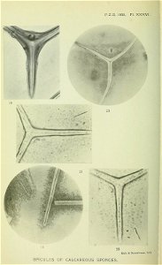 n293_w1150