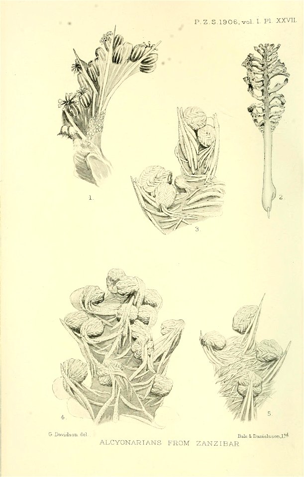 n483_w1150