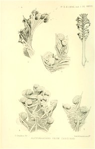 n483_w1150