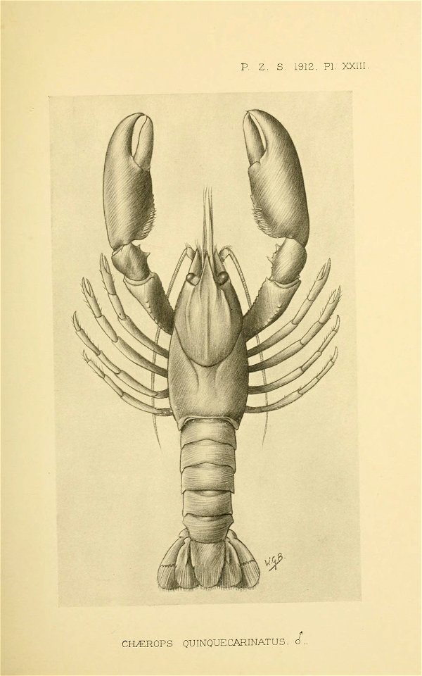n228_w1150