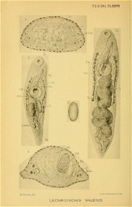 n189_w1150