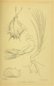 n216_w1150