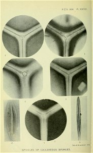 n291_w1150
