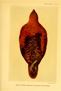 n548_w1150