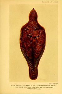 n518_w1150