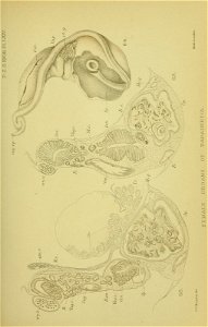 n528_w1150