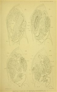 n498_w1150