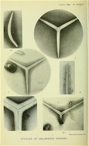 n289_w1150