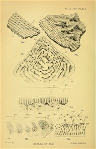 n413_w1150