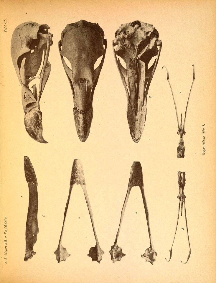 n206_w1150