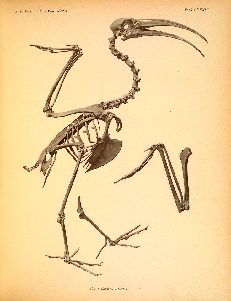 n174_w1150