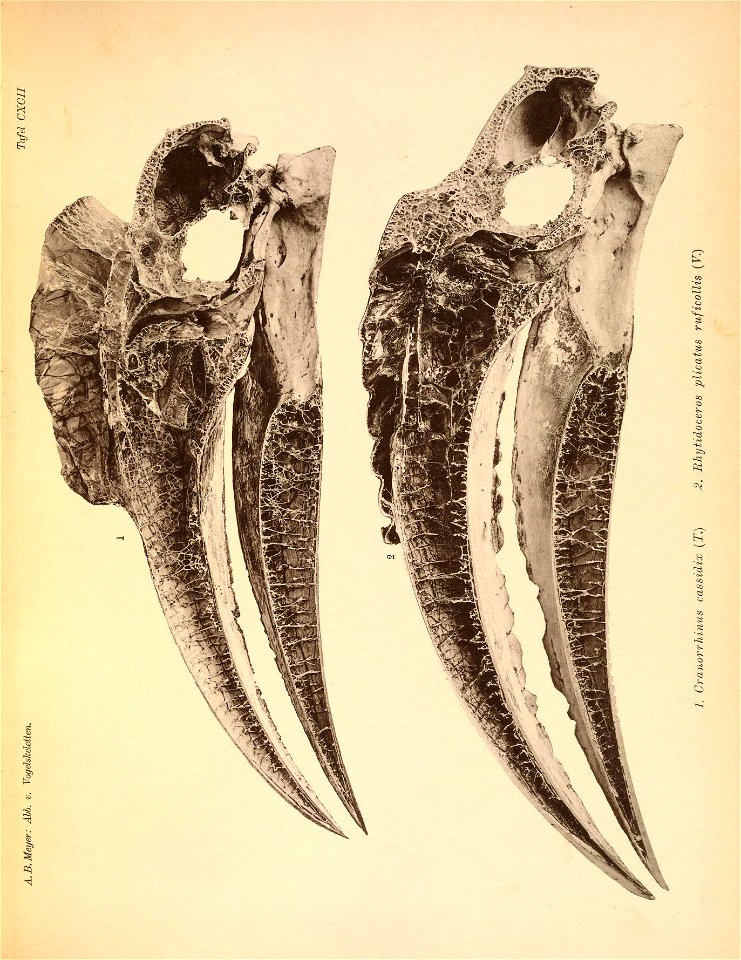 n290_w1150