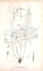 n238_w1150