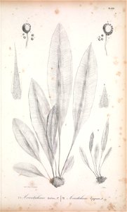 n178_w1150