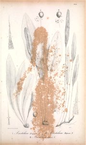 n148_w1150