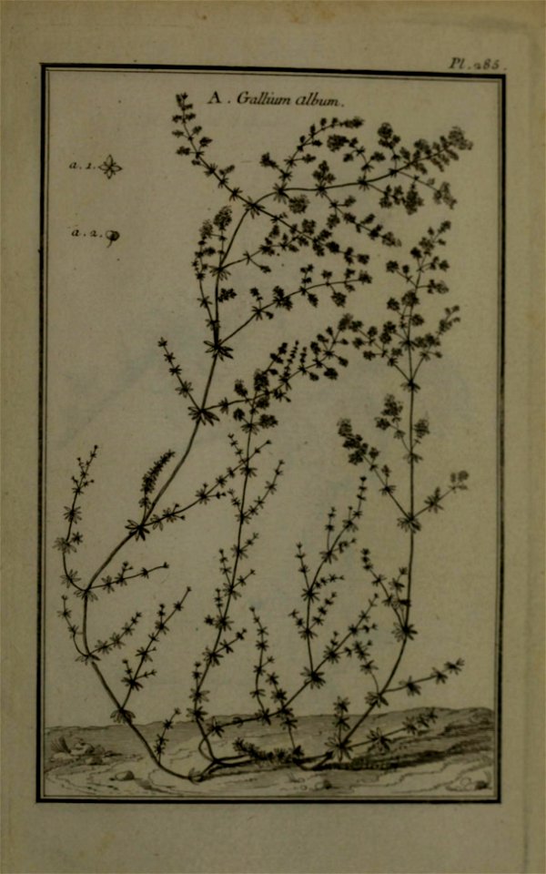 n438_w1150